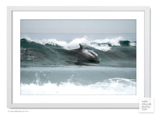 Bottlenose Dolphins surf a wave framed