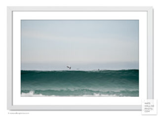 Dolphin jumps behind rising wave off Pacific Beach framed