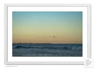 Morning pelicans dolphin jetty pier and island framed